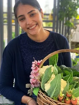How to Grow Veggies for The Household on Your Terrace? Gardening Tips For Beginners