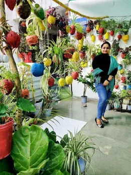 With Coconut Shells & Plastic Bottles, I Created a Mini Forest of 4000 Rare Plants