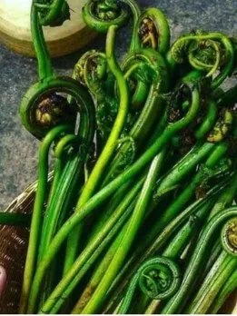 8 Must-Try Unique Food Delicacies from Across India to Try This Monsoon