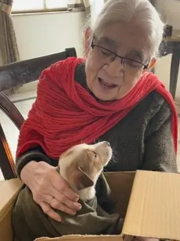 ‘Dadi & I’: How a 90-YO Grandma Joined Granddaughter’s Crusade to Feed 120 Dogs Daily