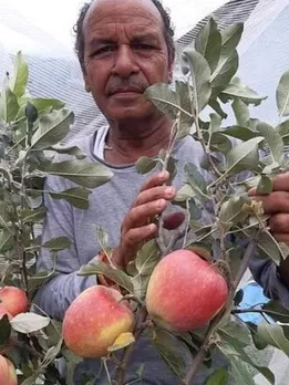 Apples Growing in Hot Climates? Award-Winning Farmer Innovates a Way