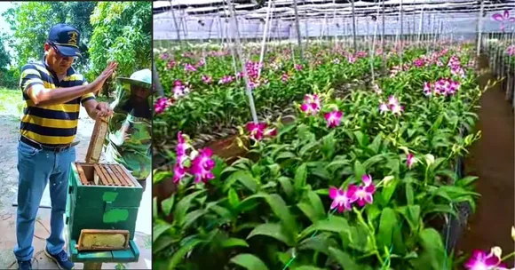 ‘Toured Across India To Learn From Farmers’: How a Retd Colonel Found Passion in Orchid Farming