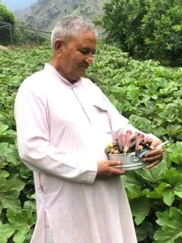 Meet The Padma Shri Hero Behind an Organic Pomegranate Farming Revolution in Uttarakhand