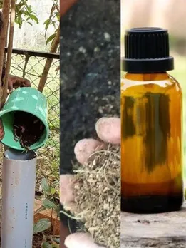 How to Ensure Your Gardening Practices Are Sustainable? 5 Gardeners Share DIY Tips
