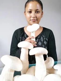 Uttarakhand Woman's 'Vertical Mushroom Farms' on Bamboo Racks Inspires 15000+ Families