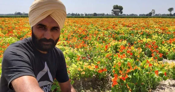 Punjab Farmer Gave Up Wheat Farming to Grow Exotic Flowers, Earns Rs 1 Lakh/Acre