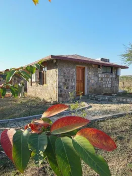 A Barren Land in Tadoba is Now A Vacation Spot, Thanks to These Wildlife Conservationists