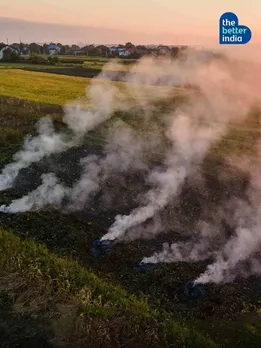 Delhi Air Pollution: How Haryana Curbed Stubble Burning by 38%