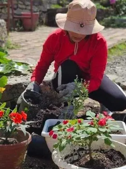 4 Expert Tips on Preparing Your Garden for Winter