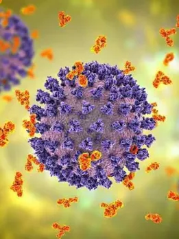 Covid Variant JN.1 in India: Symptoms to Vaccine Protection, 7 Facts You Should Know