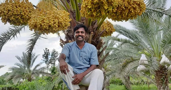 Ex-ISRO Scientist Turns Farmer, Earns Rs 15 Lakh/Year with Organic Dates