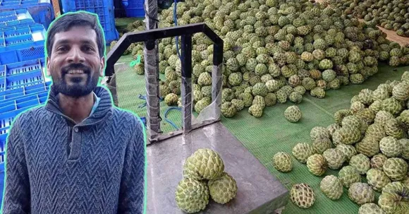 Earning Rs 1 Cr, Bastar Man's Forest-To-Fork 'Bazaar' Transforms Tribal Lives
