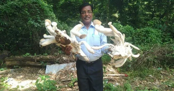 Started With Just Rs 36, Odisha Man's Mushroom Farm Now Earns Lakhs