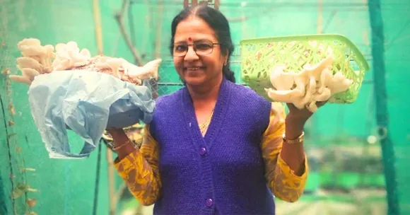 How to Start an Oyster Mushroom Business For Profits in Lakhs? 5 Farmers Share Trade Secrets