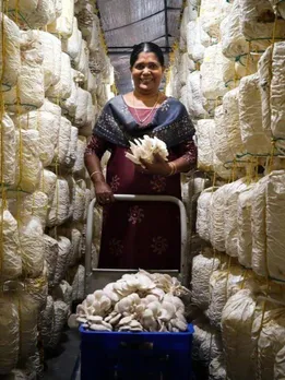 Started At Home, This Mom-Son Duo's Mushroom Farm Earns Them Rs 40000/Day