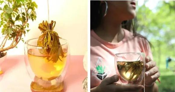 Do Teabags Release Plastic? Two Friends Fight The Damage With 100% Biodegradable 'Bagless' Tea