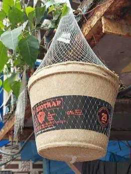 How to Kill Mosquitoes in Public Places? Smokeless, Biodegradable Innovation Helps Fight Dengue
