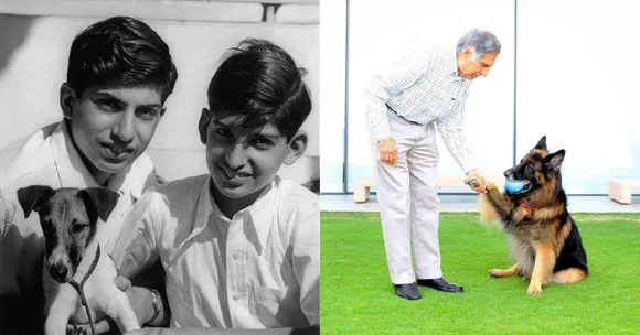 Ratan Tata's Rs 165 Cr Animal Hospital Inspired by His Own Struggle to Treat Pet Dog