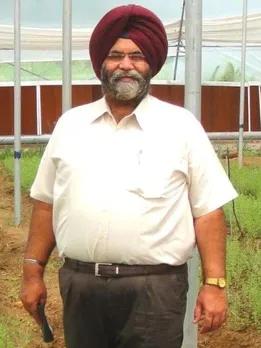 300X Sweeter Than Sugar, Zero Calories: This Man's Stevia Revolution Is Helping Farmers Earn 4X More