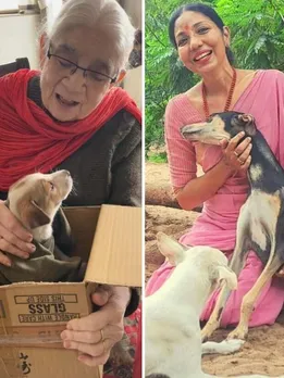 What To Do When You See An Animal In Need?