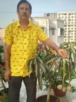 Blue Mangoes to Red Guavas, This Man Grows Exotic Fruits In Pots In His Terrace Garden