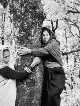Guardians of Our Forests: Fascinating History of Tree Conservation Movements in India