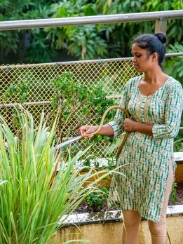 Gardening With Greywater: How To Water Your Plants Using Waste Water from Kitchen & Bathroom
