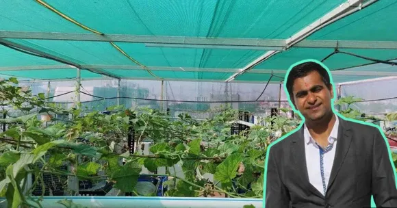 How I Use Upcycled Containers & Aquaponics to Grow 500 Kg Veggies On My Terrace