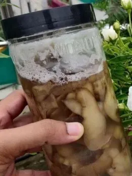 How to Make Compost For Your Garden Using One Ingredient: Potato Peels