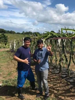 'Why Not Grow it in India?': Doctor Earns Rs 2.2 Crore by Cultivating Organic Dragon Fruits
