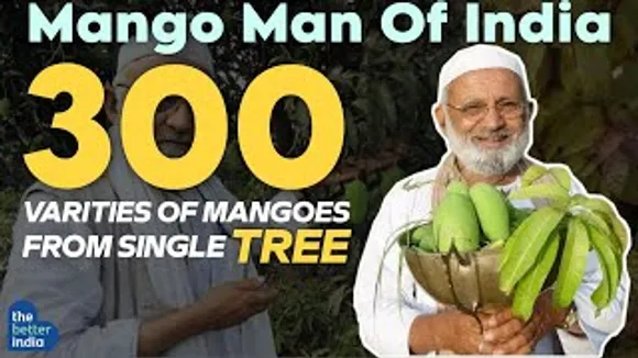 The Real OG "Mango Man of India" || 300 Varieties of Mangoes From Single Tree || Horticulture