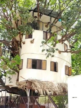 ‘Didn’t Harm A Single Leaf’: This Three-Storey Home Is Wrapped Around a 40-Foot Mango Tree‘Didn’t Harm A Single Leaf’: This Three-Storey Home Is Wrapped Around a 40-Foot Mango Tree