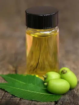 How To Make Organic Neem Insecticide At Home? Gardeners Share Step-By-Step Recipe