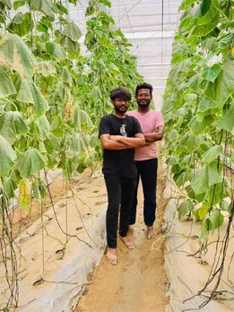 Brothers Started Mushroom Farming to Fulfill Dad's Dream, Earn Rs 7.5 Crore/Year