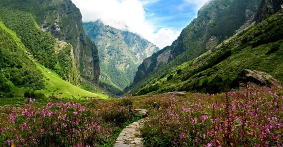 Uttarakhand's Valley of Flowers Opens in June: A Complete Guide for India's Most Beautiful Trek