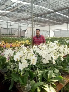 'I'm My Own Boss': 50-YO Quits Job to Run a Nursery & Live His Dream; Earns Rs 2 Crore/Year