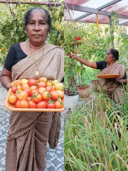 Cabbages, Carrots, Corn: This 60-YO Grows All Her Household Veggies On The Terrace