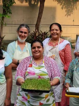 How to Grow Microgreens At Home? Tips From An Entrepreneur Selling 50 kg per Month