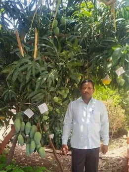 Mechanic-Turned-Farmer Grows 22 Mango Varieties on One Tree, Earns Rs 2 Crore Per Year