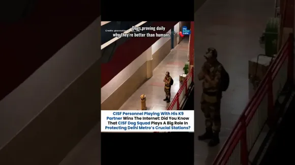 Best video on internet today ❤️🥹 #shorts #delhimetro #Dogs #Heartwarming