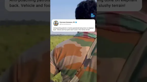 Forget jeeps and boots! This anti-poaching team is relying on a unique patrol force...#Shorts #viral