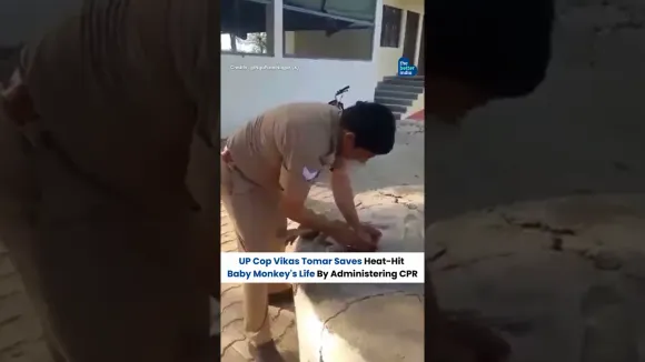 Vikas Tomar's CPR Saved a Baby Monkey from a Heatwave #shorts #viral