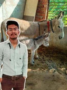 Built On Broken Dreams & Losses Worth Rs 40 Lakh, Farmer's Donkey Milk Biz Earns Rs 3 Lakh/Month
