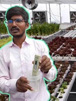 How to Grow Plants Using Less Space & Water? Teacher-Turned-Farmer Offers Hydroponics Training