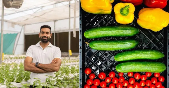 Farmer Earns 5 Times More with Hydroponics & Saves 80% on Electricity Bills; Helps Others Switch