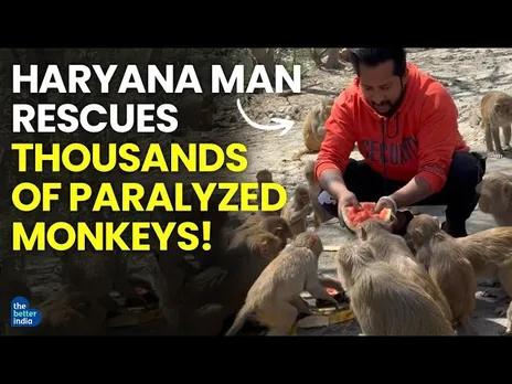 Haryana Man Rescues Thousands of Paralyzed Monkeys! #shorts #kindness #wildlife