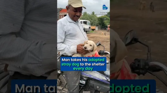 Heartwarming: Man Adopts and Treats Stray Dog. #shorts #animalrescue #kindness