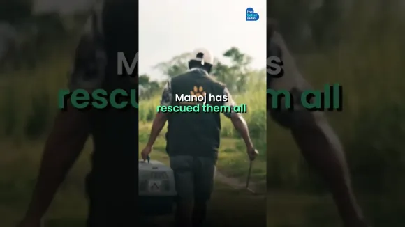 Heroic Manoj Gogoi Rescues 6000+ Animals in Assam! #shorts #animalrescue #assam