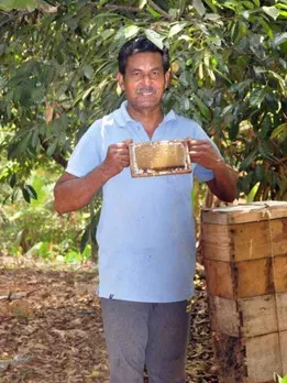 'Rebuilt My Life With Honey Farming': Started With Rs 300, Kerala Farmer Earns Rs 25 Lakh a Year
