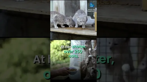 70 YO Lady Has Saved 4000 Tortured Animals!